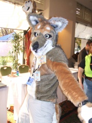 BrownWolf FC2009 239
