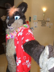 BrownWolf FC2009 244