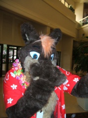 BrownWolf FC2009 249