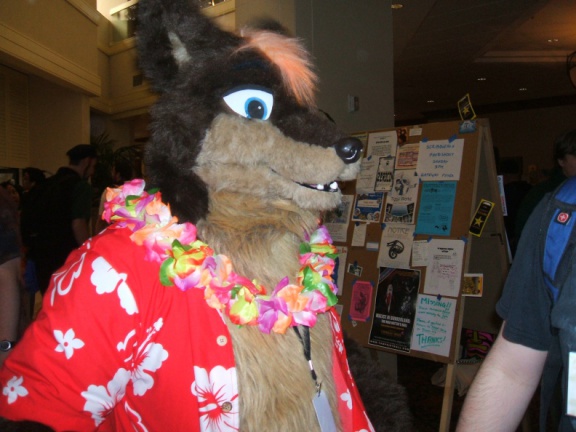 BrownWolf FC2009 250