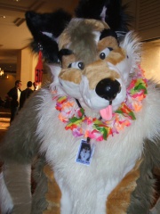 BrownWolf FC2009 259