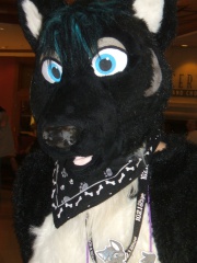 BrownWolf FC2009 260