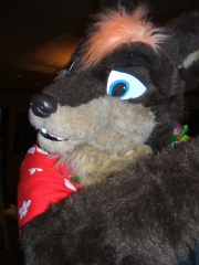 BrownWolf FC2009 262