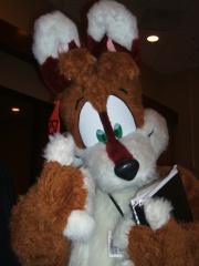 BrownWolf FC2009 275