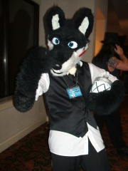 BrownWolf FC2009 276
