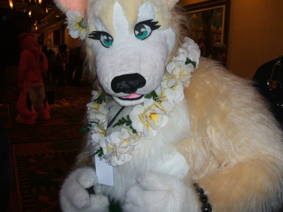BrownWolf FC2009 277