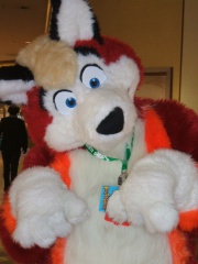 BrownWolf FC2009 305