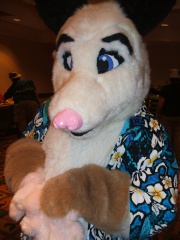 BrownWolf FC2009 334