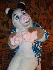 BrownWolf FC2009 335