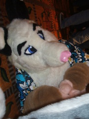 BrownWolf FC2009 336