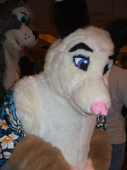 BrownWolf FC2009 337