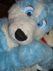 BrownWolf FC2009 340