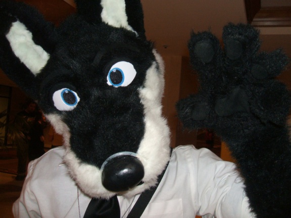 BrownWolf FC2009 344