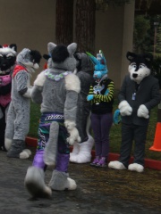 BrownWolf FC2009 198