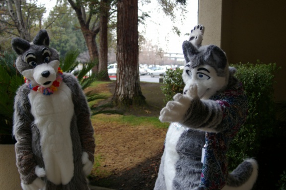 DamonHusky FC2009 038