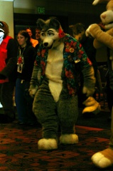 DamonHusky FC2009 333