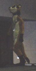 sajhar