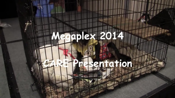 Michel Mephit-Megaplex2014-CarePresentation