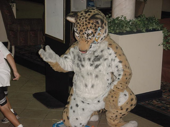 JavuJaguar MFM2002 05