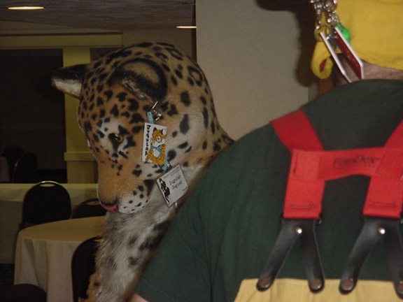 JavuJaguar MFM2002 10