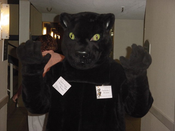 JavuJaguar MFM2002 24