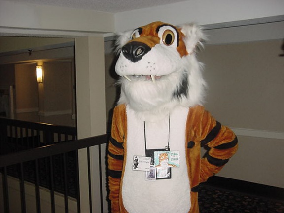 JavuJaguar MFM2002 27
