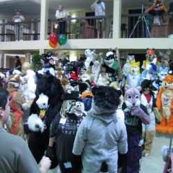 fursuits