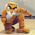 Tiger4