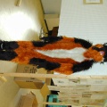 Dscn0027