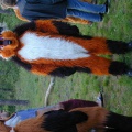 Dscn0027 2