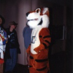 03-05 parade-tiger