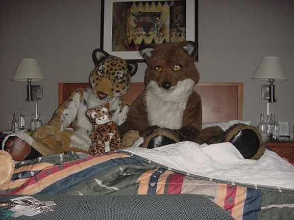 JavuJaguar Fox-Jaguar