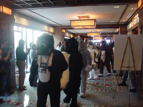 JavuJaguar MFF2002 04