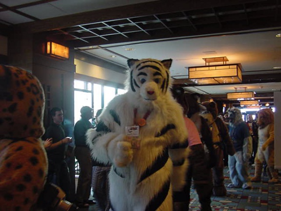 JavuJaguar MFF2002 07