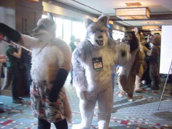 JavuJaguar MFF2002 09