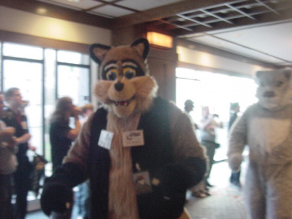 JavuJaguar MFF2002 10