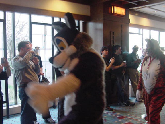 JavuJaguar MFF2002 11