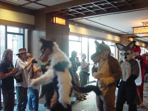 JavuJaguar MFF2002 12