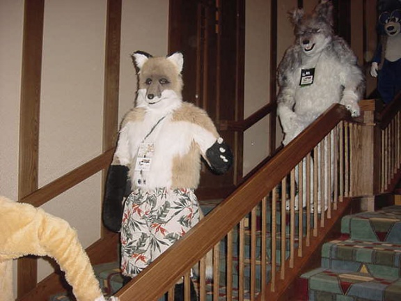 JavuJaguar MFF2002 15
