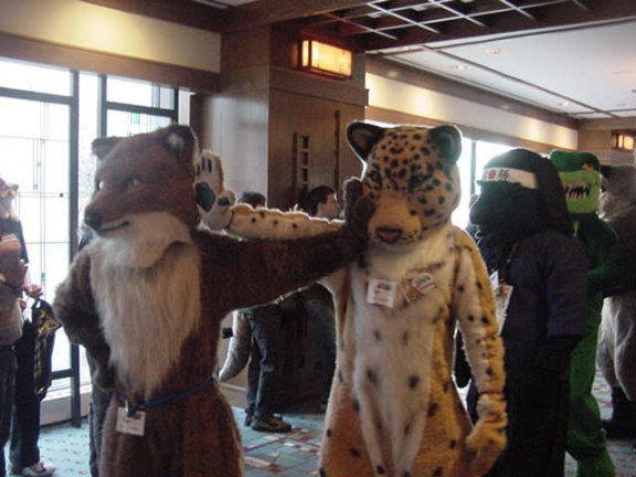 JavuJaguar WhatEver