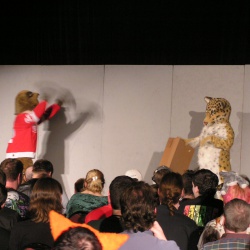 MFF2003