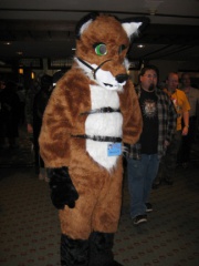 MacLeod MFF2007 016