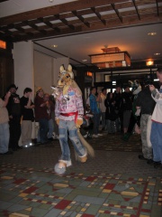 MacLeod MFF2007 027