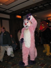 MacLeod MFF2007 028