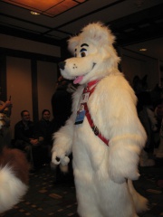 MacLeod MFF2007 035