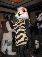 MacLeod MFF2007 036