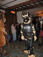 MacLeod MFF2007 043