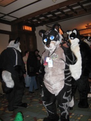 MacLeod MFF2007 047