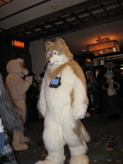 MacLeod MFF2007 048