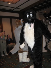 MacLeod MFF2007 049